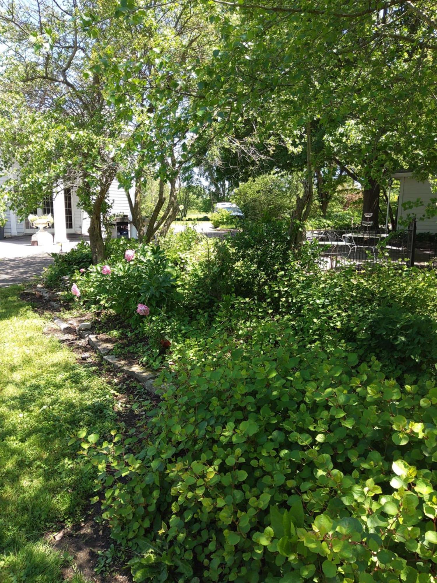 Inntiquity, A Country Inn Logansport エクステリア 写真